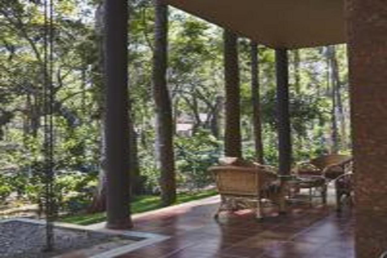 The Birchwood Retreat, Madikeri Hotel Exterior foto
